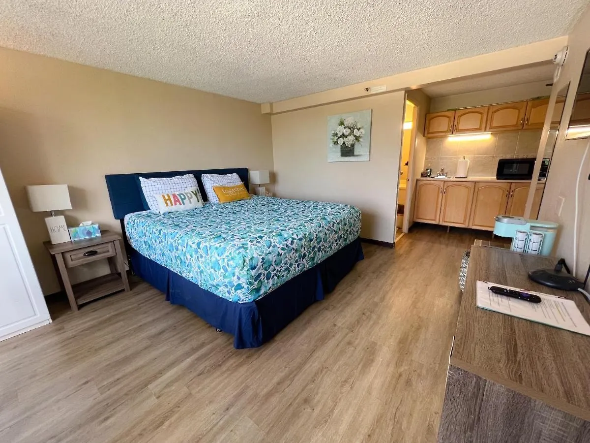 Happy Hawaiian Monarch Studio Condo 檀香山 公寓